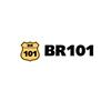 BR 101橡胶制品
