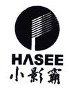 HASEE;小影霸科学仪器