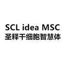圣释干细胞智慧体 SCL IDEA MSC