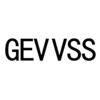 GEVVSS科学仪器