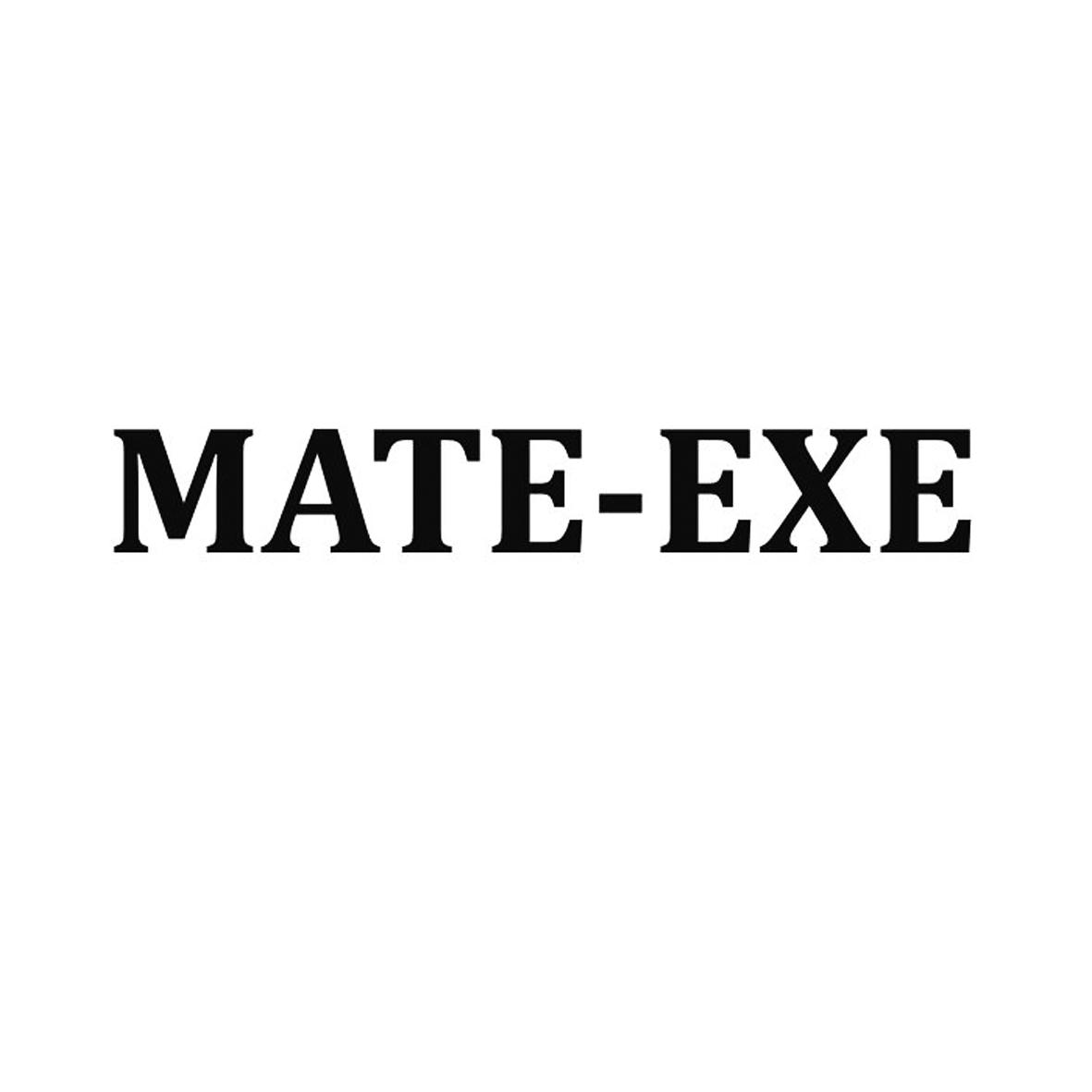 MATE-EXElogo