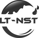 LT-NST