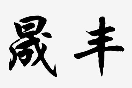 晟丰logo