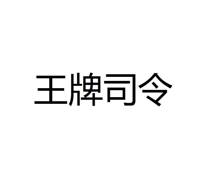 王牌司令logo