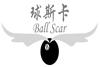 球斯卡 BALL SCAR健身器材