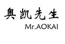 奥凯先生 MR.AOKAI