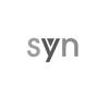 SYN网站服务