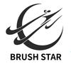 BRUSH STAR厨房洁具