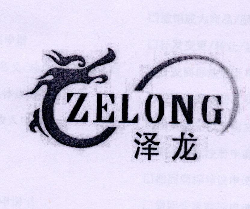 泽龙logo