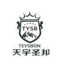 天宇圣邦 TYSB TEYSBON