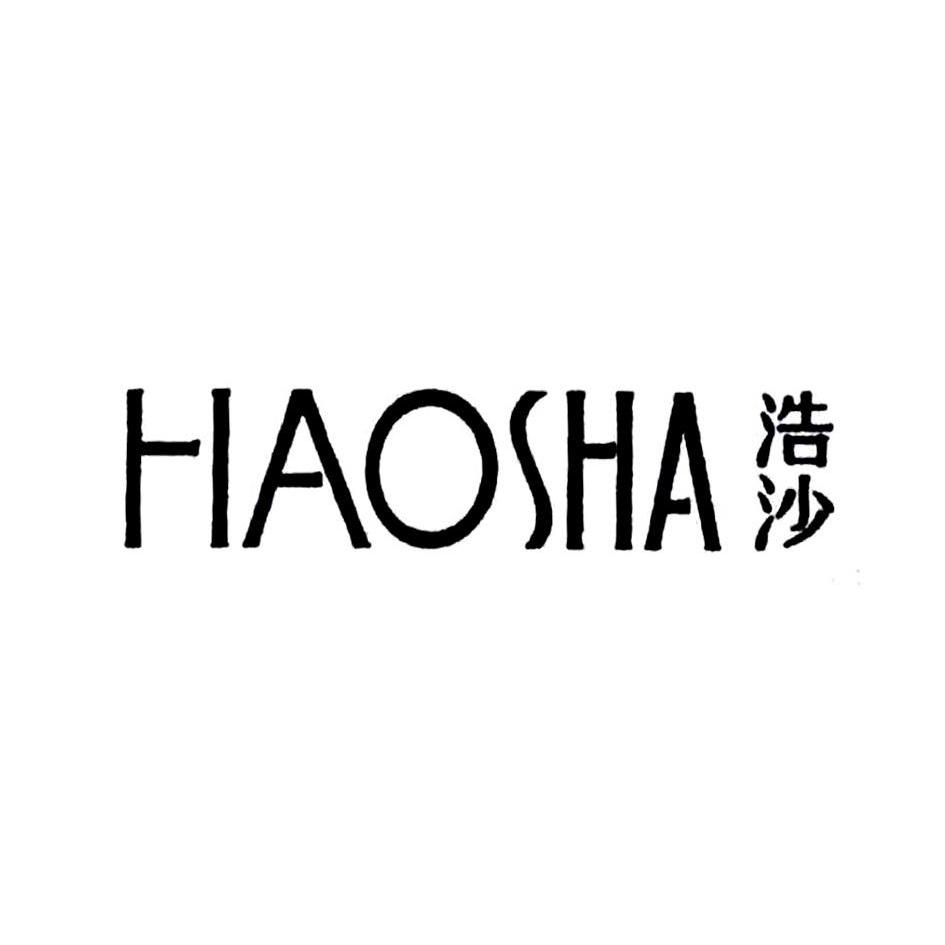 浩沙logo