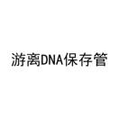 游离DNA保存管
