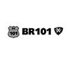 BR 101运输工具