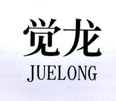 觉龙logo