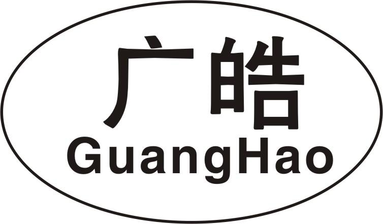 广皓logo