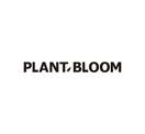 PLANT BLOOM