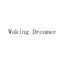 WAKING DREAMER