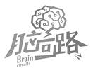 脑回路 BRAIN CIRCUITS