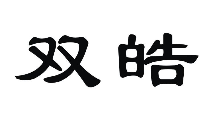 双皓logo