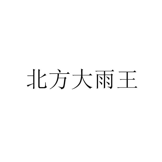 北方大雨王logo